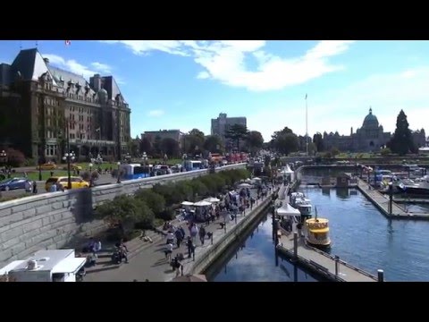Inner Harbour Happenings (Video)