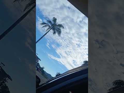 viaje al trópico!!!! Villa tunari después chimore y ivirgazama fui a cupe fue increibleee!!!!!!!