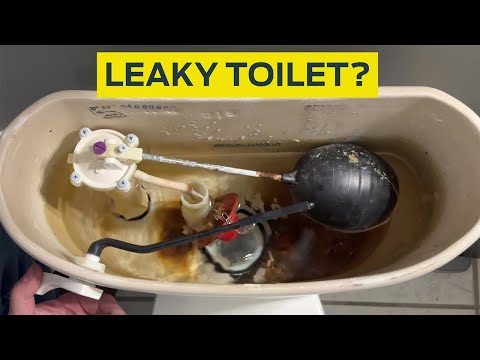 How to: Fix a Leaky Toilet