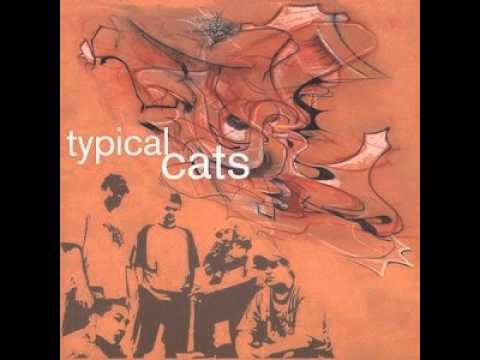 Typical Cats - Cliche