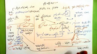 212 ★  المعنى الواحد في المجاز image