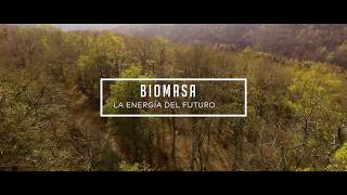  Biomasa