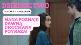 Dziedzictwo 1045 - streszczenie. Nana poznaje dawną ukochaną Poyraza! Pelin nazy