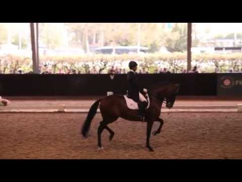 Dressage SHP Out 2016 - Gonçalo Carvalho MVI 2763