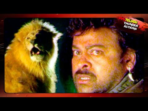 Chiranjeevi Most Popular Power Pack Action Scenes || التيلجو أفضل مشاهد العمل