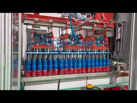 Inside the Tomato Packing Process: Ensuring Freshness and Quality