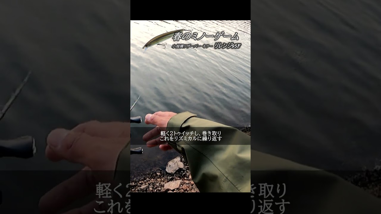 小規模リザーバーで連発したミノー。