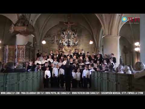 Especial N°19 - MÚSICA CORAL DESDE SUECIA