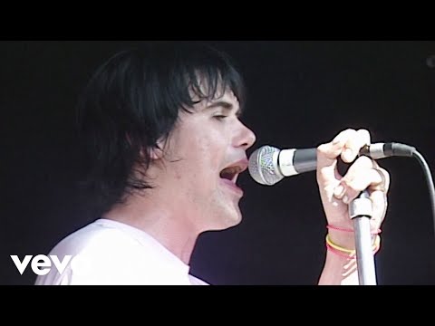 Grinspoon - Just Ace (Live Big Day Out 2002)
