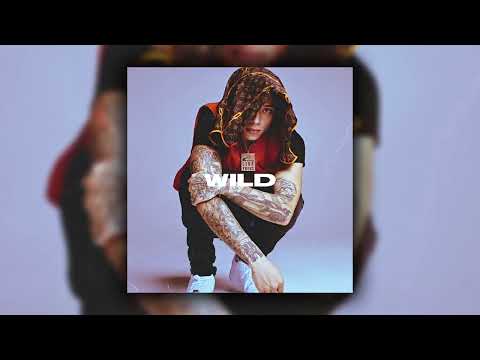 [FREE] MELODIC DRILL SAMPLE PACK/LOOP KIT 2022 - "WILD" (Central Cee, Guitar, Vocal)