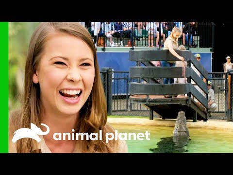 賓迪-歐文就是要延續史蒂夫-歐文的遺產。 (Bindi Irwin Is All About Continuing Steve Irwin's Legacy)