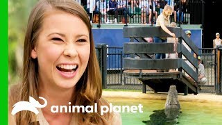 Bindi Irwin Is All About Continuing Steve Irwin’s Legacy