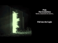 Fink - Fall Into The Light 