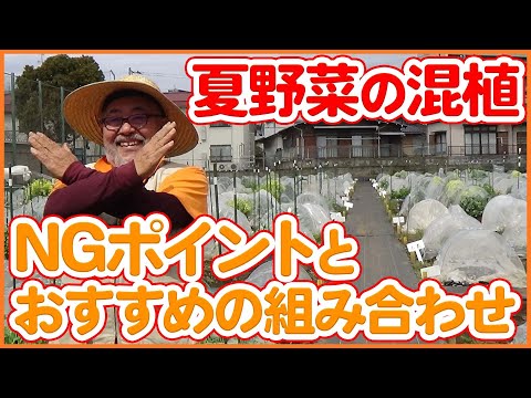 トマトの隣にどの花を植えますか?良い植物の組み合わせ  庭園