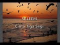 Saleem - Cinta Tiga Segi (lirik)