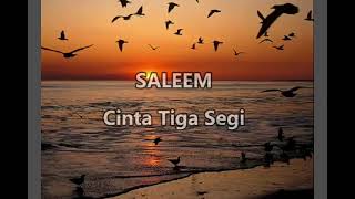 Download lagu Saleem - Cinta Tiga Segi (lirik) mp3