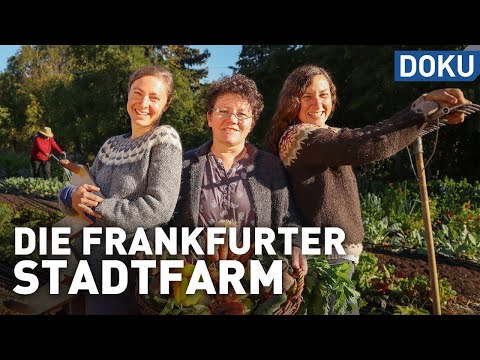 Successful with permaculture? - The Frankfurt City Farm | documentary | experience