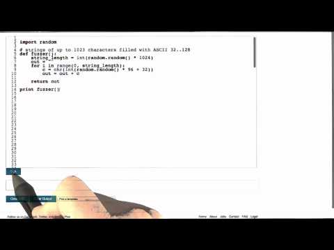 Fuzz Inputs Software Debugging