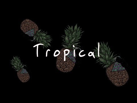 Tropical - A.Nayaka Ft SONAONE (LYRIC VIDEO) Unofficial