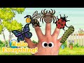 Insects Finger Family Kids Songs And Nursery Rhymes