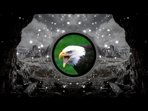 TOMMO feat DARIA STEFAN