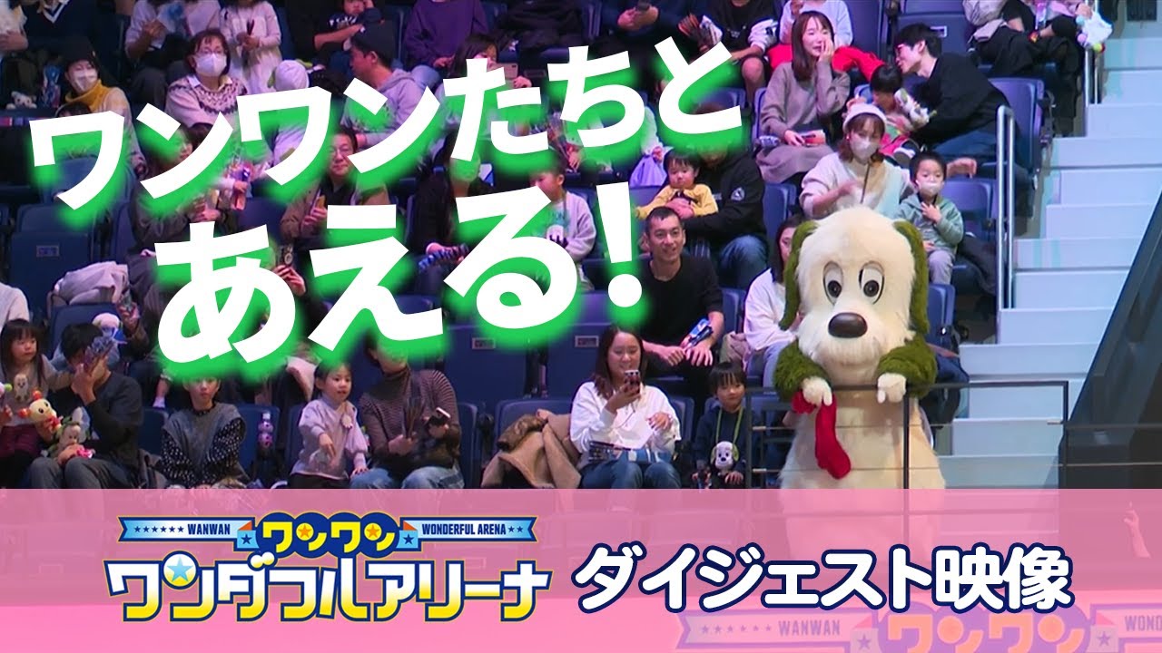 ワンワン ワンダフルアリーナ2024 in 長崎ダイジェスト　特別編集版