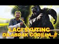 LAGI SYUTING DI RAGUNAN TIBA TIBA DILABRAK GORILLA
