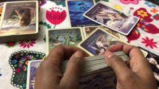 Leo love reading. Now this is over I want my stuff back. May 39th- June 5th