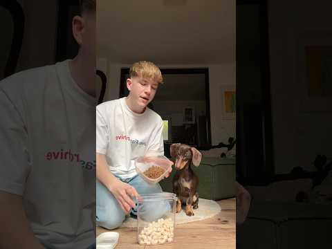 Peppys Spaßglas machen