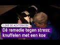 Wie wordt hier niet ontspannen van? Knuffelen met kalfjes! - I Love De Achterhoek
