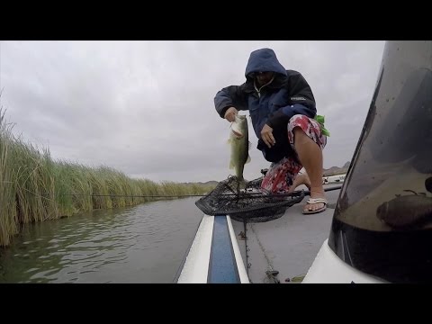 GoPro: Jeff Carpenter - Best Catch 5.29.15 - Fish