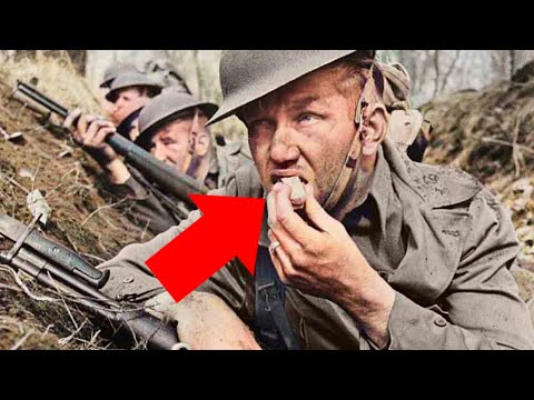 The Most Shocking and Unexpected Defeat in World War 2