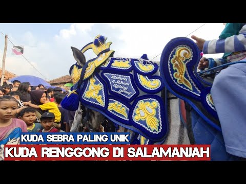 Renggong horse causes traffic jam - Dancing horse video