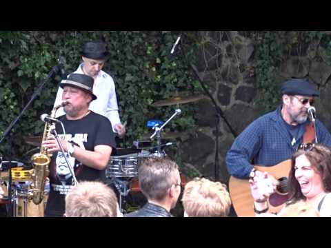 HOP STOP BANDA Live @Cologne Edelweiss Pirates Festival 2016 – Dali Dali