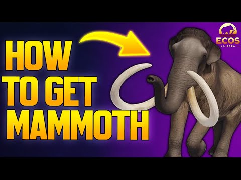 HOW TO GET THE MAMMOTH in ECOS LA BREA! (All Fossil Locations - Roblox)