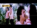 மைனா ஒரு மைனா பாடல் Maina Oru Maina Song S P Balasubramanium And S J