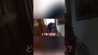 Ben Phillips - 弟の指に接着剤を塗った結果・・・指チョップ？！【日本語字幕付き】