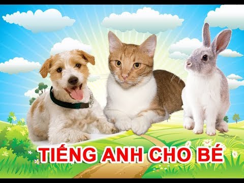 Dạy bé học tiếng anh các con vật - phần 1