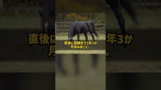 なぜディープインパクトより高く買われた兄は勝てないまま引退し年度代表馬の父になれたのか ブラックタイド #Shorts