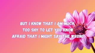 Afraid for love to fade (Lyrics) Lea Salonga