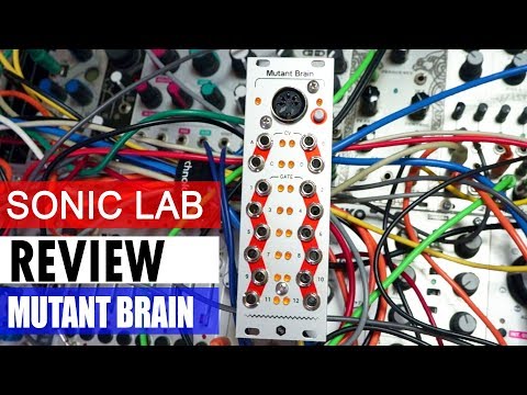 Hexinverter Mutant Brain - Black image 2