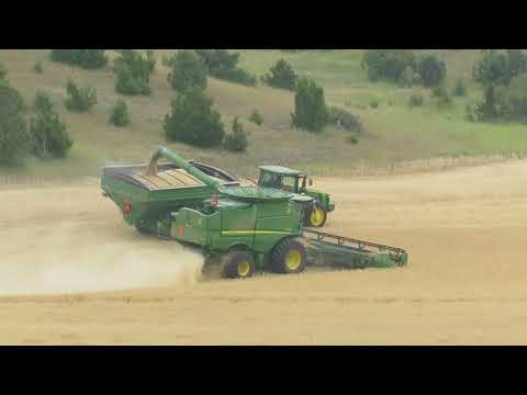 Montana Wheat & Barley Harvest 