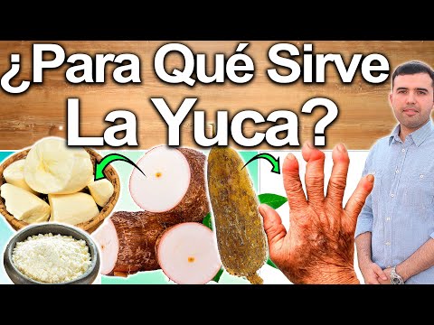 , title : 'Para Qué Sirve la Yuca? - Beneficios, Propiedades Y Contraindicaciones De La Raíz De Yuca Para Salud'