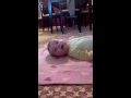 Обзор Happy Baby Boss