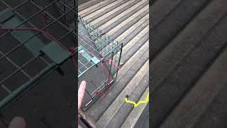 How To Release A Raccoon From A Live Trap