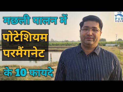 Potassium permanganate crystal, 99%, for water treatment