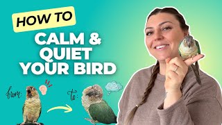 How to get your Green Cheek Conure to BE QUIET!