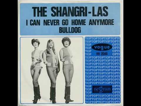 The Shangri-Las  :  I Can Never Go Home Anymore