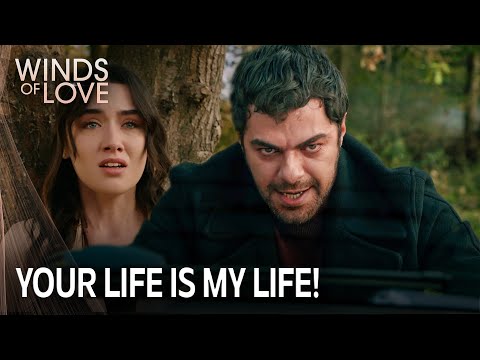 Halil, Zeynep için canını feda etti! | Rüzgarlı Tepe 177. Bölüm