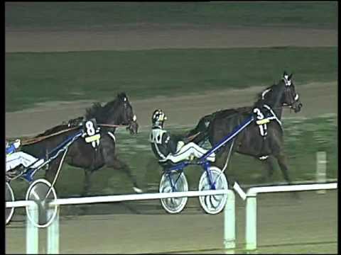 Trotto 19/11/2015 - 8° corsa TRIS